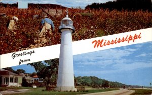 Biloxi Mississippi Lighthouse Picking Cotton c1950-60s Vintage Postcard