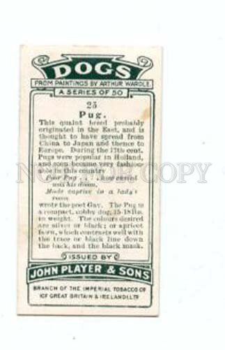 166929 PUG by WARDLE John Player CIGARETTE card ADVERTISING