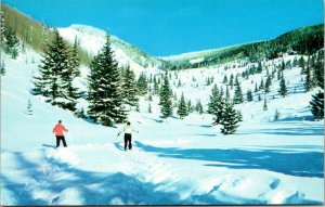 Vtg Skiers Skiing at Berthoud Pass Rocky Mountains Colorado CO Chrome Postcard