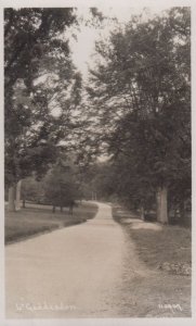 Little Gaddesden Woodland Path Hertfordshire Village Antique Real Photo Postcard