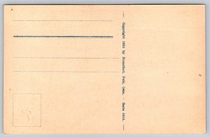 1925  Ancient Costumes   Setesdal  Norway  Postcard