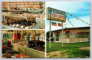 Interior~Seadshore Gift Shop Bradenton Florida & Exterior~Vintage Postcard