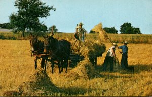 Pennsylvania Amishland Golden Harvest Time Amish and Mennonite Farmers Harves...