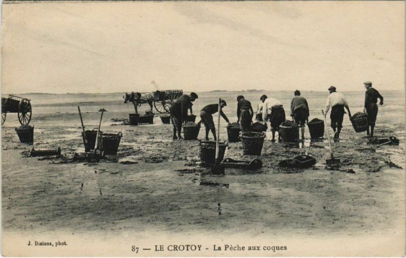 CPA LE CROTOY La Peche aux coques (19241)