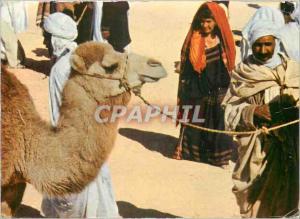 CPM Sud Tunisien Le marche Chameau