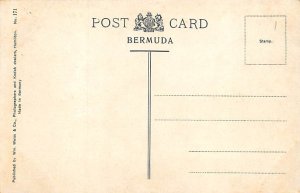 Oleanders St. George's Bermuda Postcard