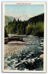 1936 Capilano River and Lions British Columbia Canada Vintage Posted Postcard