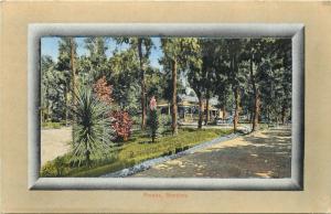 Argentina Mendoza Park vintage postcard