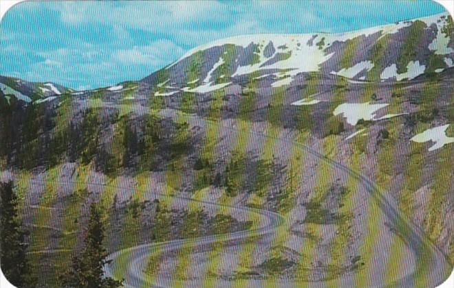 Colorado Timberline On Loveland Pass