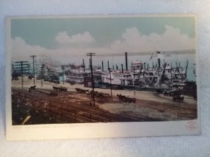Levee from the Bluff Memphis Tennessee TN Horses Carriages Vintage Postcard