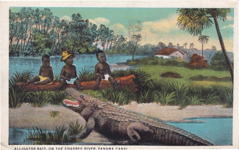 Alligator Bait Panama Canal Barbados Old African Postcard