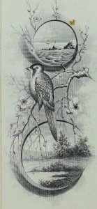 1880 Engraved Folder Card D. Goff & Sons Goff's Braid Lake Sea Wild-Bird &L