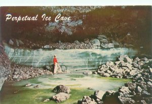 Grants New Mexico Perpetual Ice Cave Man in Red Shirt Chrome Postcard Unused