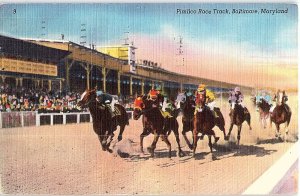 Postcard HORSE SCENE Baltimore Maryland MD AI1244