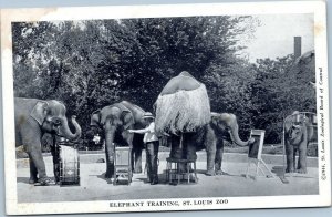 postcard MIssouri - Animal Training, St. Louis Zoo Elephants playing instruments