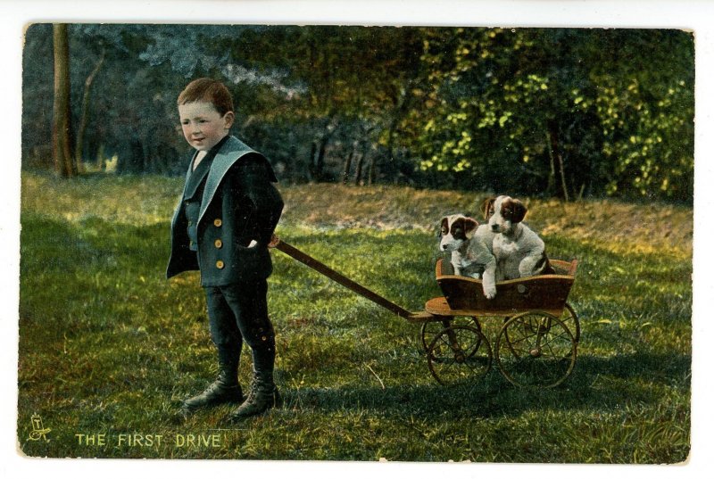 The First Drive  (Tuck Series 4453, Boy with Pups in Cart)