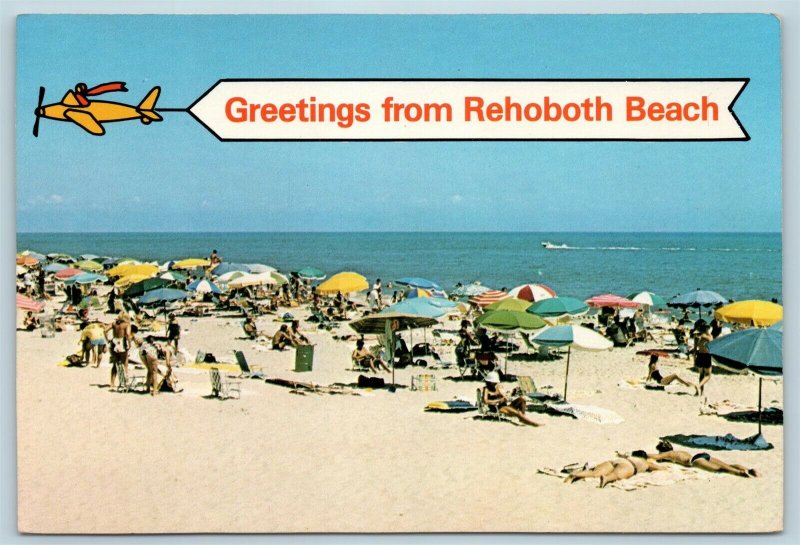 Postcard DE Rehoboth Beach Delaware Multiview Banner Greetings #2 X5