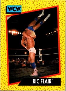 1991 WCW Wrestling Card Ric Flair sk21169