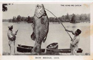 J83/ Iron Brige Ontario RPPC Postcard Exaggeration Comic Fishing 152