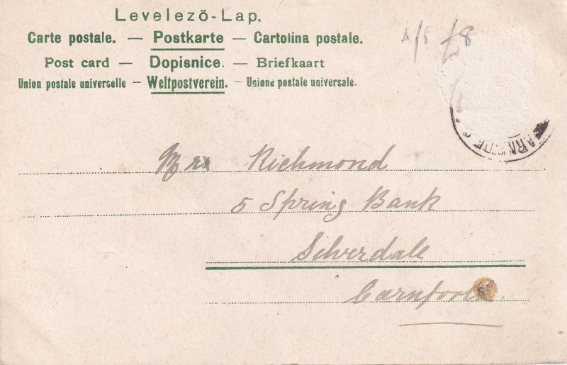 Christmas Humanized Maybug Archer Spider Web Glitter Novelty postcard C316