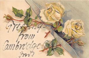 D90/ Cambridge City Indiana In Greetings from Postcard c1910 Flowers