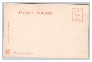 Charleston S. C. South Carolina City Hall Postcard
