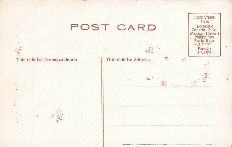 New York University, New York City, N.Y., Early Postcard, Unused 
