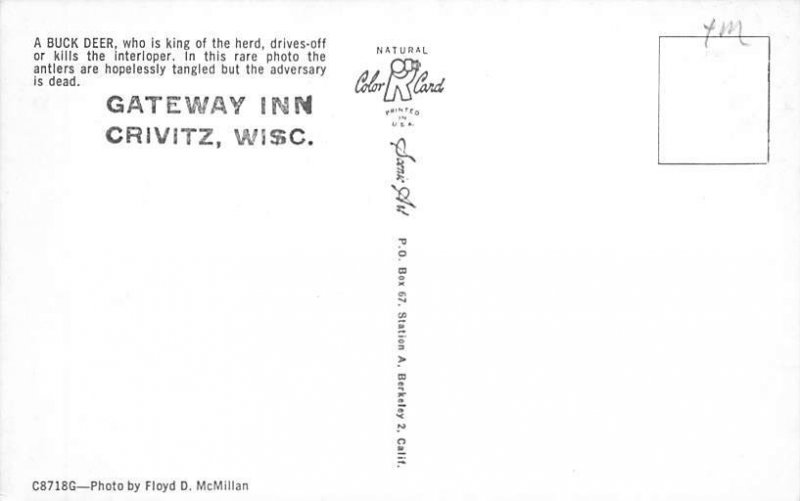 Gateway Inn - Crivitz , Wisconsin WI  