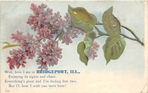 H60/ Bridgeport Illinois Postcard c1910 Enjoying the Sights Greetings 77
