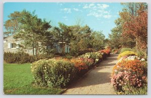 Hales Corners WI~Garden Chrysanthemums Alfred Boerner Gardens~Vintage Postcard