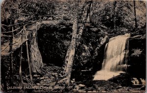 1908 DELEWARE WATER GAP PA CALDENO FALLS WATERFAL LITHOGRAPHED POSTCARD 26-106 