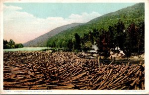 Vtg Log Jam on the Connecticut River 1910s Detroit Publishing Old View Postcard