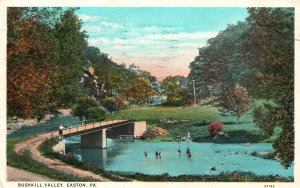 Vintage Postcard 1930 Bushkill Valley Scenic Picturesque Easton Pennsylvania PA