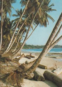 GABON BEACH PLAGE DE LA BLONDINE