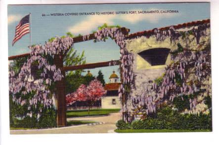 Westeria Covered Entrance Sutter's Fort, Sacramento California