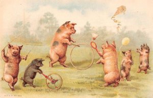 Pigs Playing Games Diablo Jump Rope Flying Kite Vintage Postcard AA53980