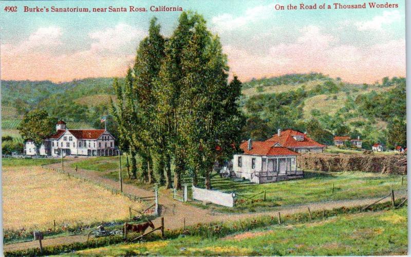 SANTA ROSA, CA California  BURKE'S SANITORIUM  c1920s Sonoma County Postcard