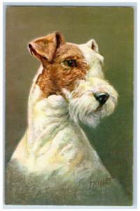 Rivst Artist Signed Postcard Fox Terrier Dog Animal Switzerland Vintage Unposted