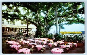 Moana Hotel Banyan Court Lanai Restaurant HAWAII USA Postcard