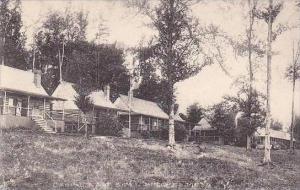 Maine Birches Cabins East Side Albertype