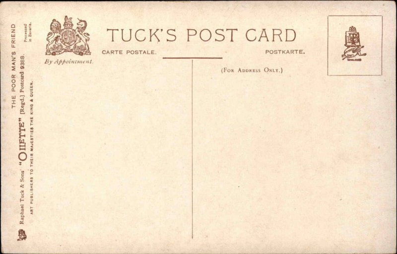 TUCK OILETTE Poor Man's Friend No 9388 Donkey Cart HARRY PAYNE c1910 Postcard 