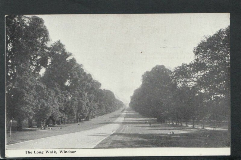 Berkshire Postcard - The Long Walk, Windsor   RS18181