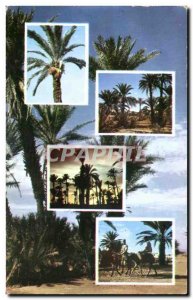 Old Postcard Picturesque Africa North Africa norther Picturesque Scenes of Pa...