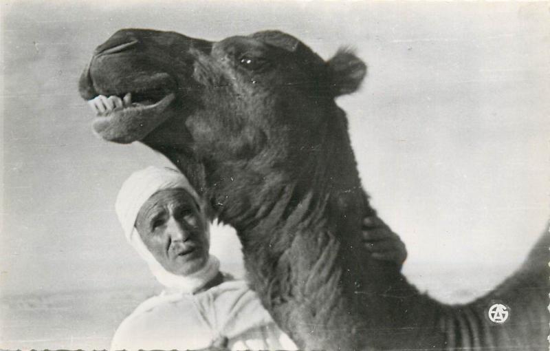 North Africa - Ethnic - Camel - Le Chamelier et son Chameau