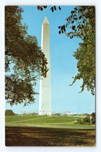 Washington Monument Through Trees Washington DC  UNP Chrome Postcard J17 