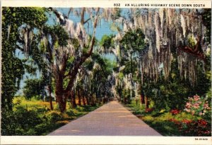 Vintage Georgia Postcard - An Alluring Highway Scene Down South