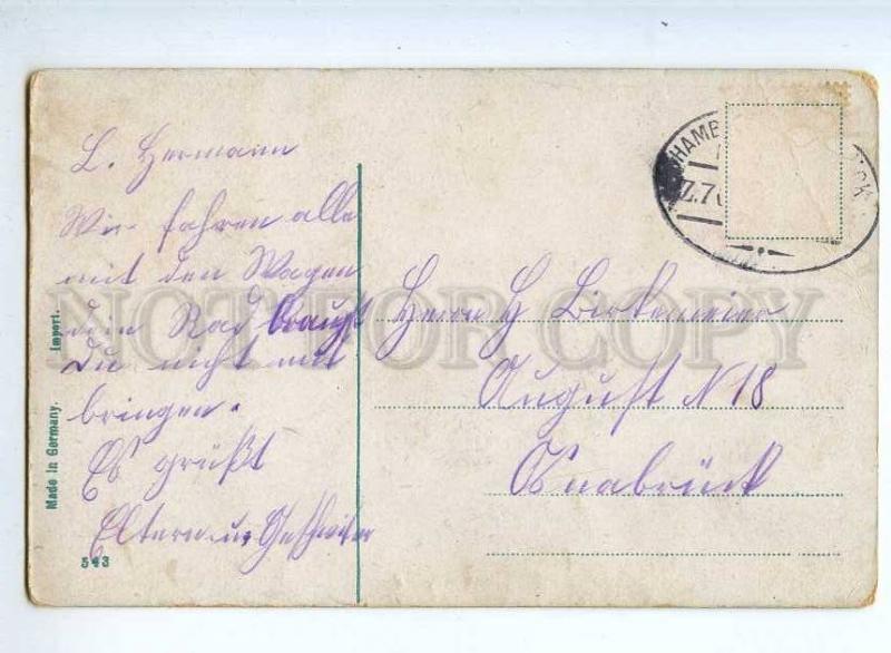 240930 CIRCUS Maybug Cockchafer BEETLE Vintage postcard