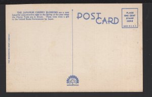 DC WASHINGTON Japanese Cherry Blossoms Time ~ LINEN