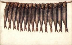 Tuck Oilette #9373 - Fishing Catch - String of Fish c1910 Postcard