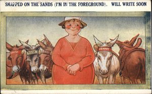 Woman Comic Fat Lady Leads Drove of Donkeys 1920s-30sPostcard